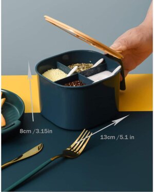: 5 Pcs Random Color Spice Box Set with Spoons