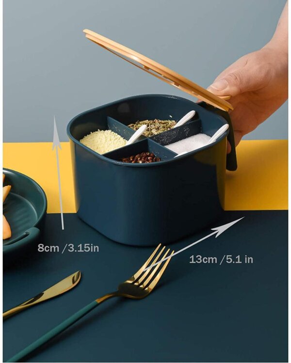 : 5 Pcs Random Color Spice Box Set with Spoons