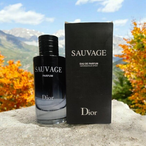 SAUVAGE Perfume For Men