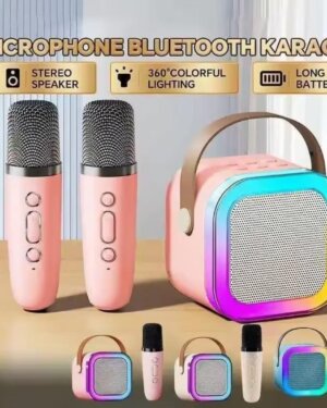 2 Pcs Portable LED Wireless Speakers