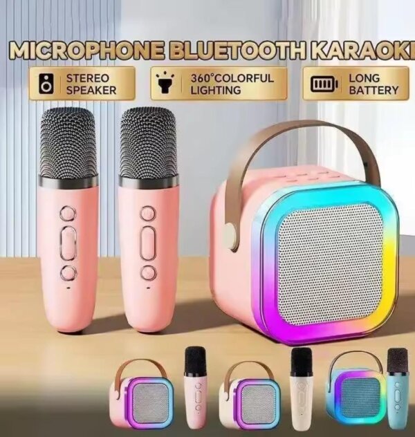 2 Pcs Portable LED Wireless Speakers