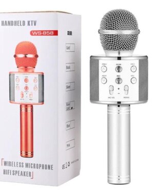 Wireless Mic With Speaker