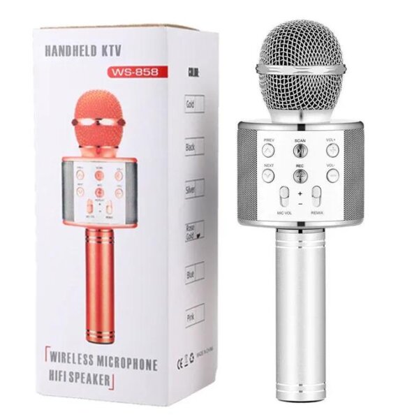 Wireless Mic With Speaker